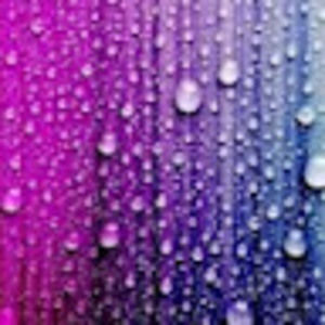 Meet your Posher, Gabriel